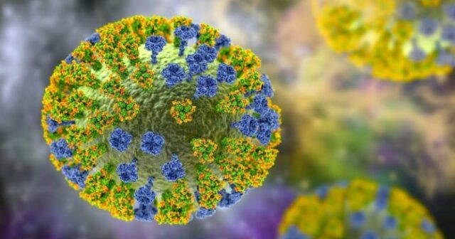 Koronavirusdan sonra gələn yeni virus - “Meymun çiçəyi”nin ölüm təhlükəsi