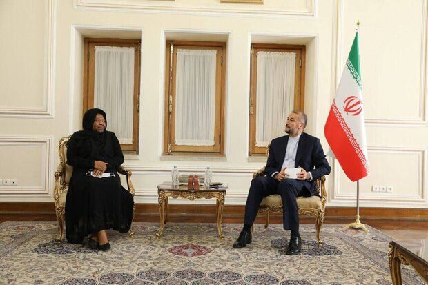 Iran aims to expand ties with African Continent