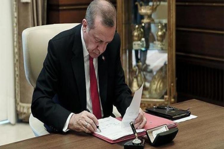 Эрдоган утвердил меморандум о сотрудничестве с Азербайджаном в области рыболовства