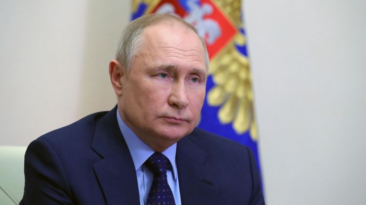 Уровень доверия россиян Путину составил более 81 процента - ОПРОС