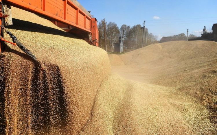 Азербайджан остается основным импортером российского зерна Дмитрий Патрушев