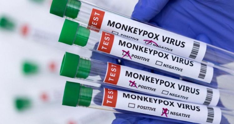 В Мадриде начнут тестировать на вирус оспы обезьян