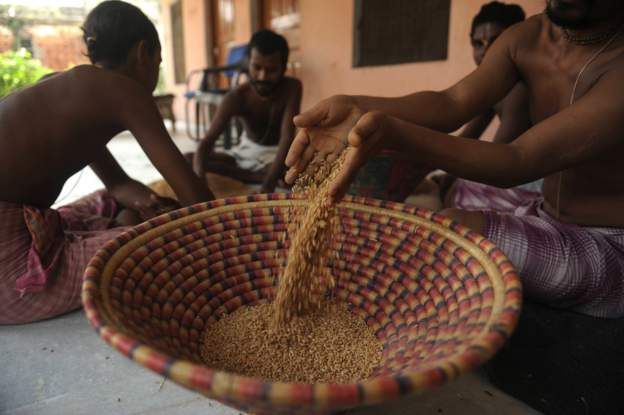 مصر ترفض استلام شحنة كبيرة من القمح الهندي بسبب عدم مطابقتها للمواصفات