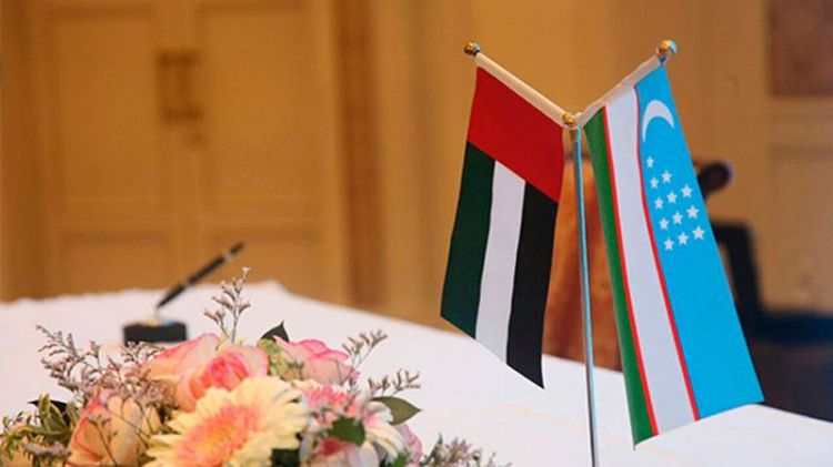 Президент Узбекистана предложил новые направления развития полномасштабного партнерства с ОАЭ