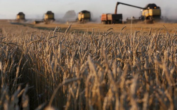 Украина установила маршруты через Польшу и Румынию для экспорта зерна