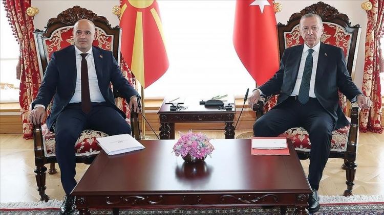 أردوغان يلتقي رئيس وزراء شمال مقدونيا في إسطنبول