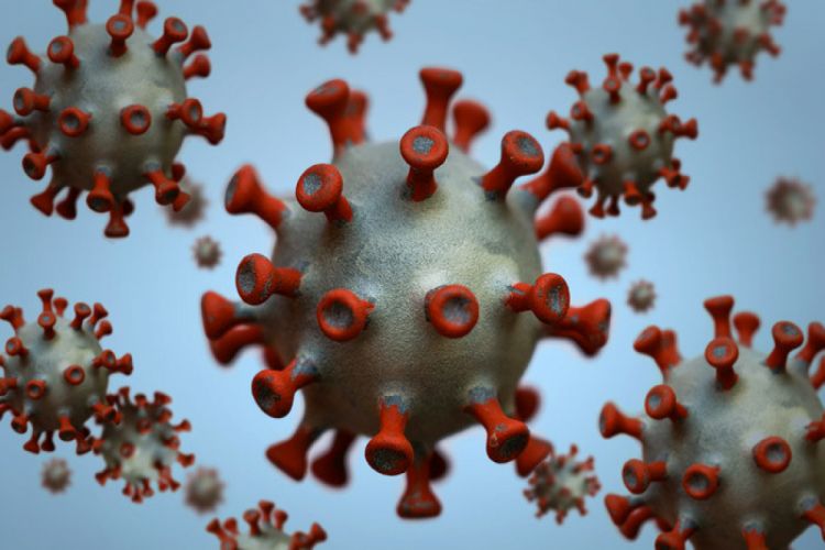 Есть вероятность, что новый тип коронавируса был разработан в лабораториях в США американский исследователь