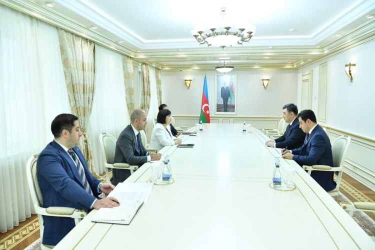 Сахиба Гафарова встретилась с президентом Международной тюркской академии