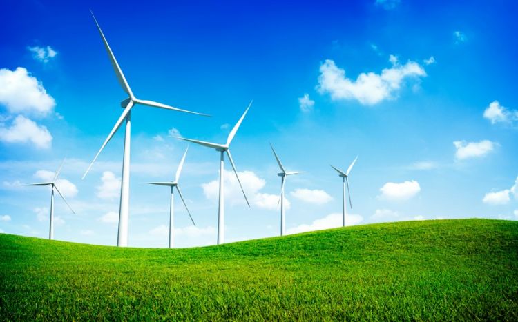 Датская компания может установить ветряные турбины в Азербайджане