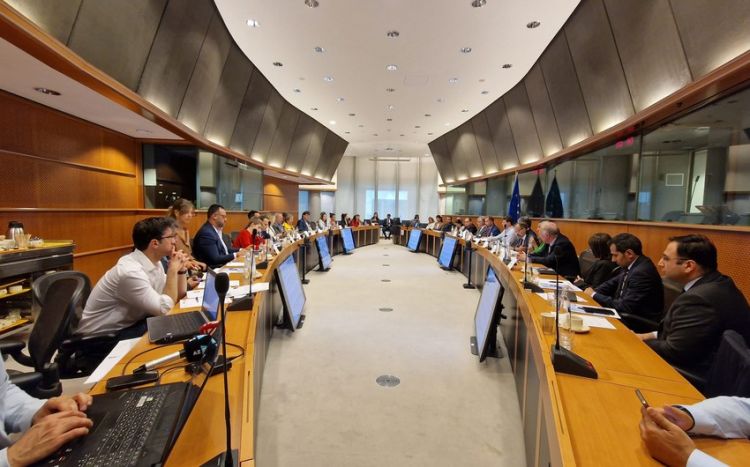 В Европарламенте проведены обсуждения минной проблемы в Азербайджане