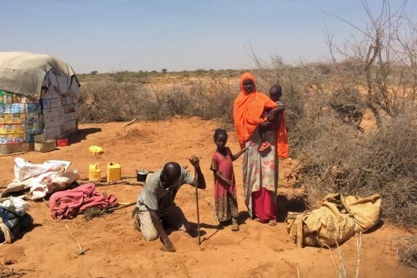 UN body seeks 993 mln USD to prevent famine, tackle drought in Somalia