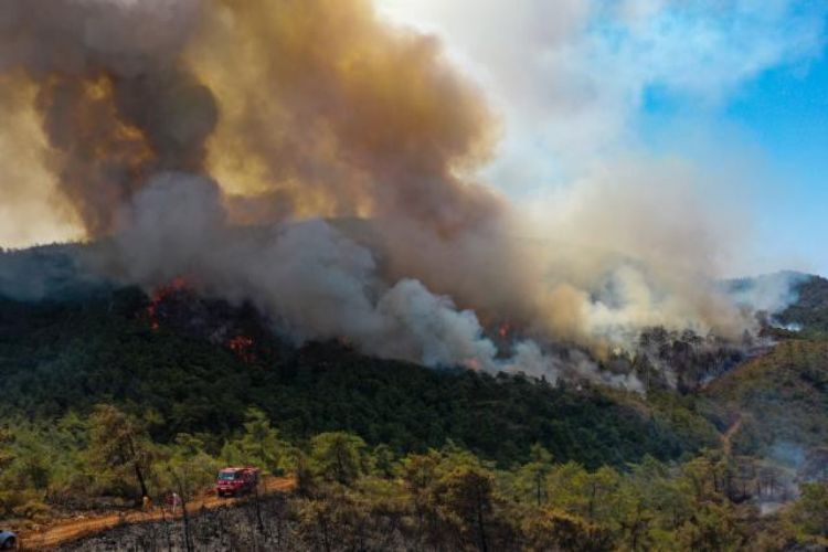 Продолжающиеся в Турции 5 дней лесные пожары взяты под контроль