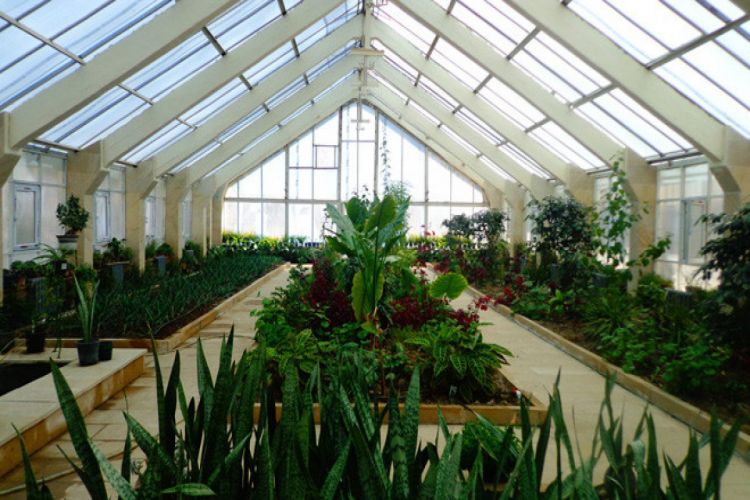 Утверждены уставы Центрального ботанического сада и Дендрологического сада