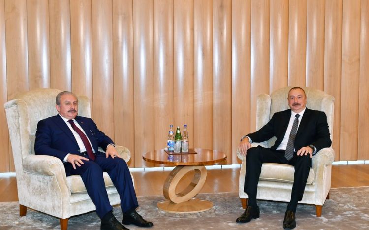 Президент Ильхам Алиев принял председателя ВНСТ