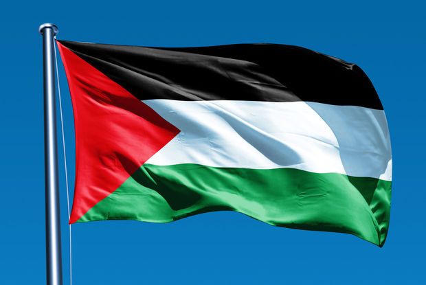 В Парламентской сети ДН предложено создать Комитет по Палестине
