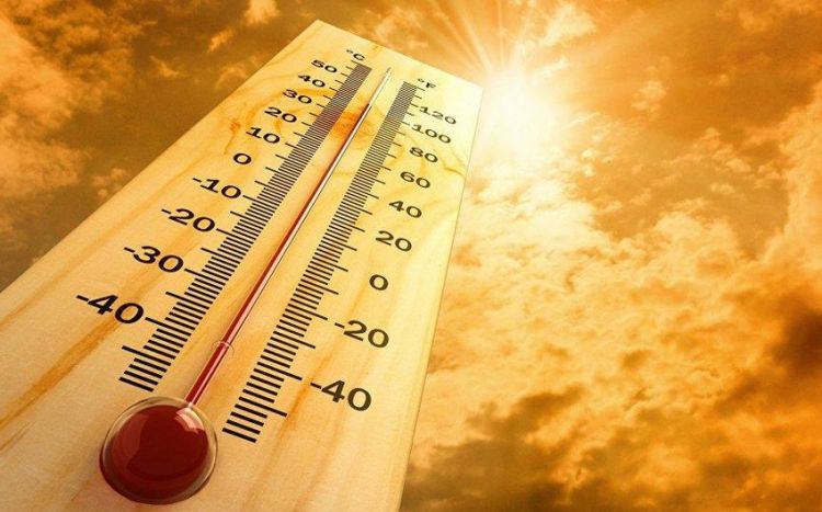 В Москве объявлен оранжевый уровень опасности из-за жары
