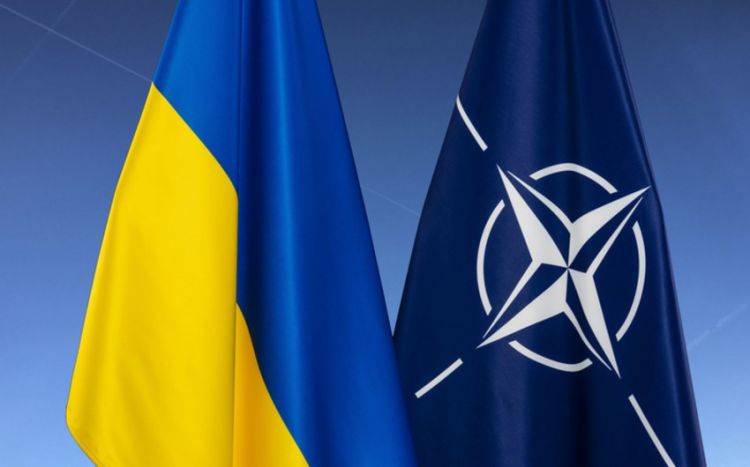 Украина предложила НАТО создать военный хаб