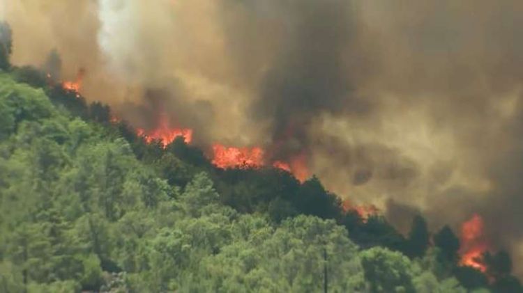 Forest fires in Portugal leave 29 people hurt as soaring temperatures prompt warnings