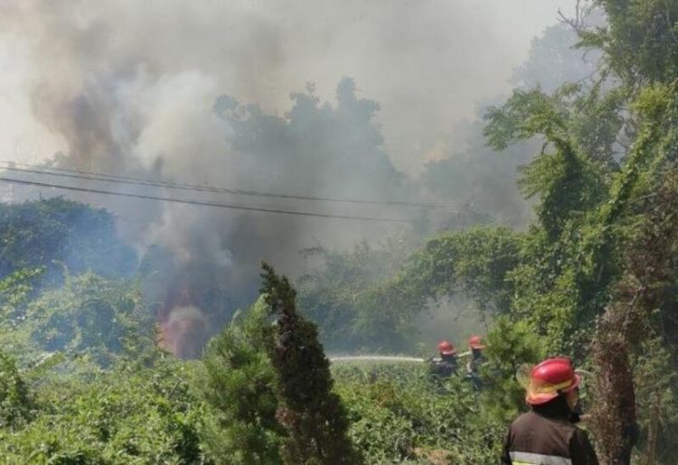 К тушению лесного пожара в Хачмазском районе привлечены два вертолета и самолет-амфибия