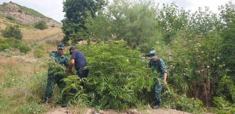 Предотвращен ввоз из Ирана в Азербайджан около 53 кг наркотиков