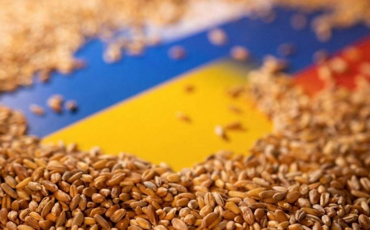 Киев будет экспортировать зерно через три украинских порта депутат Рады