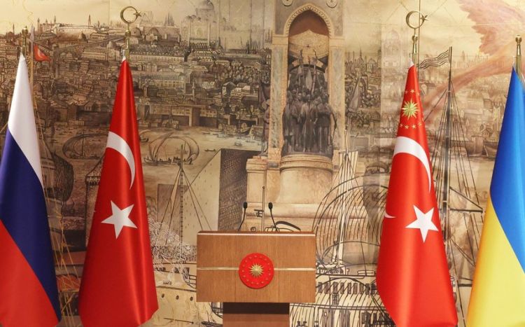 Глава Миноброны РФ прибыл в Стамбул для подписания соглашения по зерну