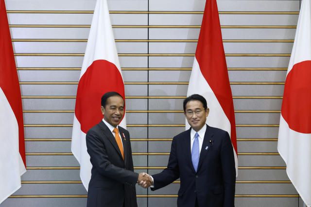 Japan, Indonesia to boost naval security ties
