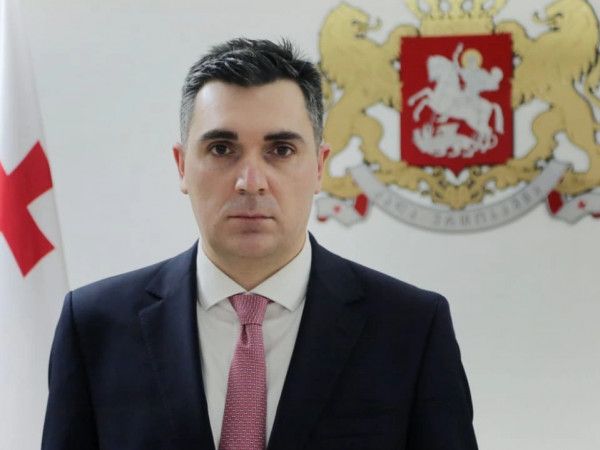 Завтра глава МИД Грузии посетит Турцию