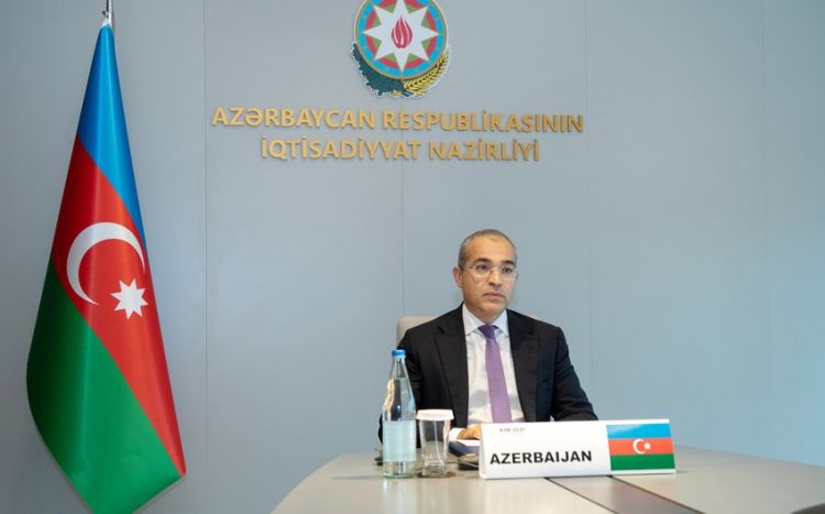 Микаил Джаббаров о вложении Азербайджанской инвестиционной компании в местное производство