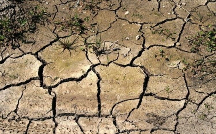 Власти объявили о наступлении засухи в нескольких районах Англии