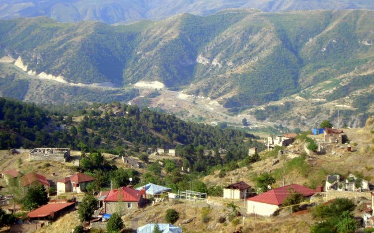 Ermənilər Laçın rayonunda meşələrə od vurdu