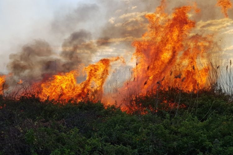 В Худате горит лесной массив