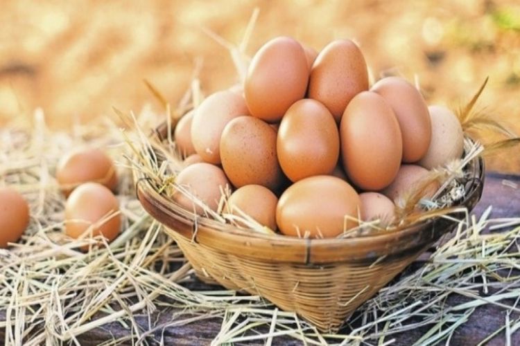 Assosiasiya sədri “Yumurta istehsalçılarından heç biri qiyməti artırmayıb”