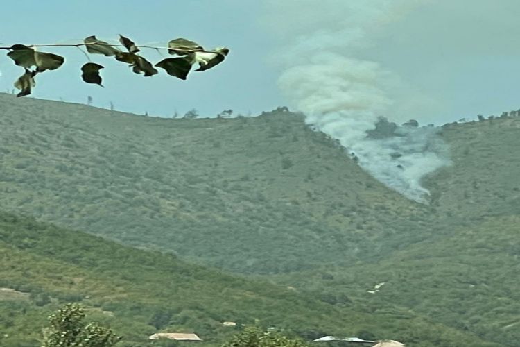 В Шеки потушен пожар в горной местности