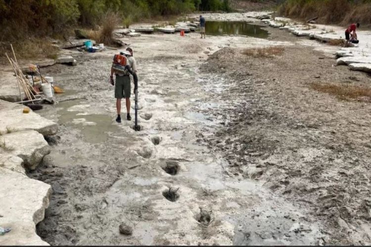 В штате Техас на реке обнаружены следы динозавров