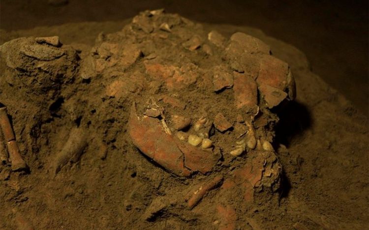 В Индонезии найден новый вид древнего человека
