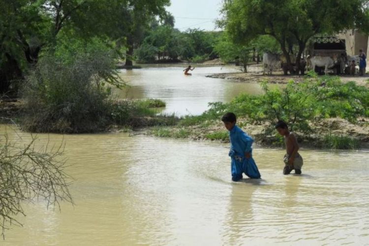 Pakistanda musson yağışlarının nəticəsi Azı 800 nəfərin ölümünə səbəb oldu