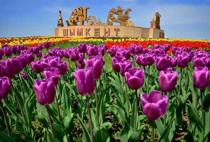В Баку презентовали туристический потенциал города Шымкент