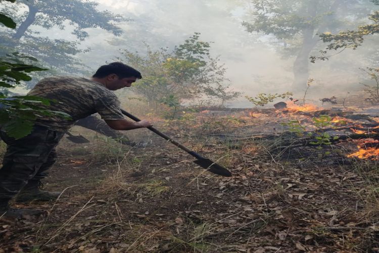 Тушение пожара в горной местности в Масаллы продолжается