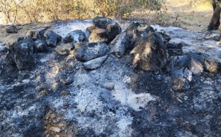 МЧС: Лесные пожары в Масаллы могли быть результатом умышленных поджогов