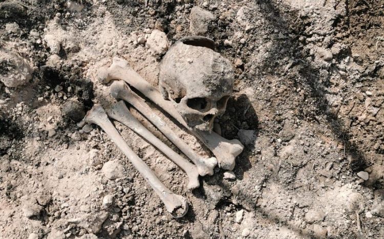 Пройдет экспертиза обнаруженных в Агдаме и Кяльбаджаре костных останков