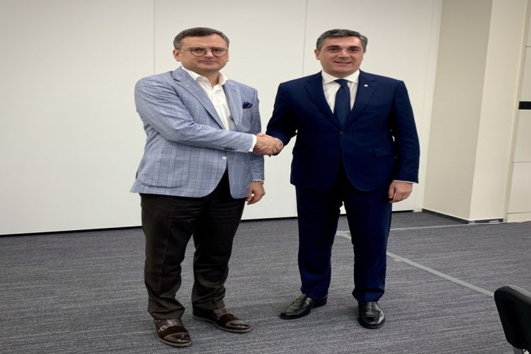Главы МИД Украины и Грузии обсудили будущее «Восточного партнерства»
