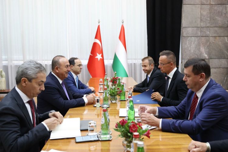 Главы МИД Турции и Венгрии обсудили ситуацию в Украине