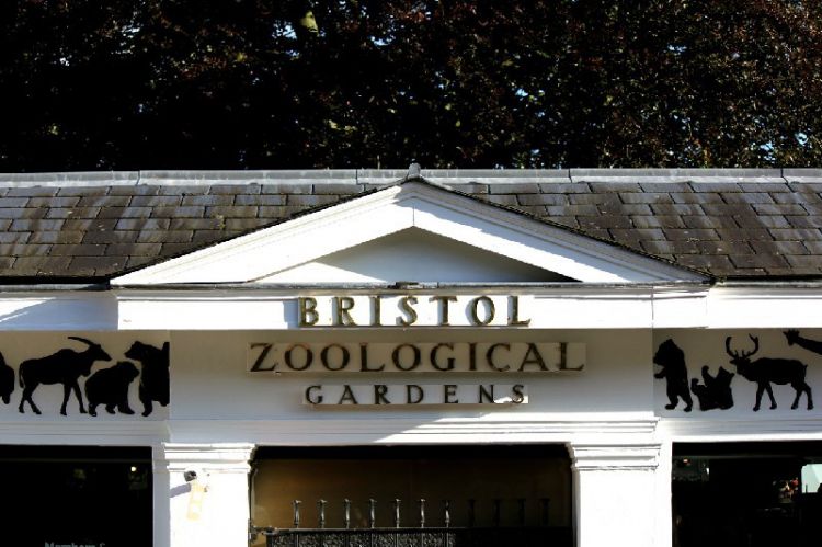 Один из старейших зоопарков мира закрылся спустя 186 лет