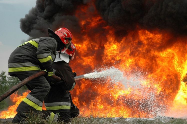 Cəlilabadda ferma yandı - 29 baş mal-qara tələf oldu