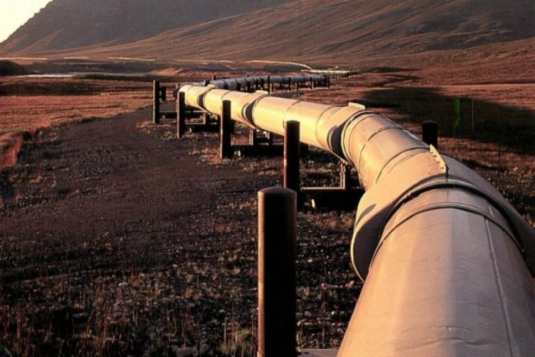 В этом году Азербайджан экспортировал около 18 млн. тонн нефти