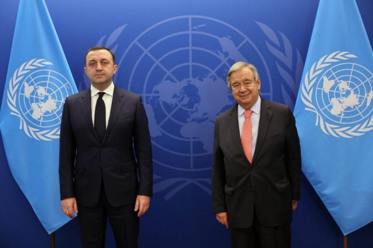 Гарибашвили обсудил азербайджано-армянские отношения с генсеком ООН
