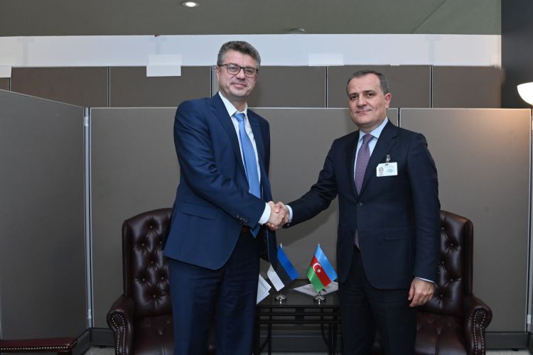 Состоялась встреча министров иностранных дел Азербайджана и Эстонии