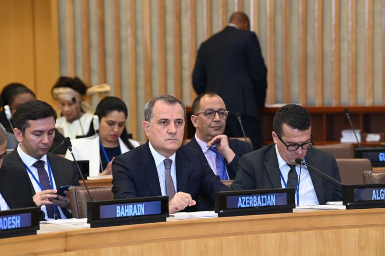 Azerbaijan is worried about the instability in Muslim countries - FM