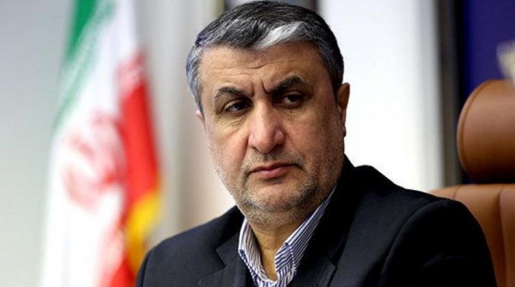 Iran nuclear chief to attend IAEA conference